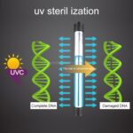 220V 7W UV Ultrafiolett Alge Desinfeksjonslampe for Akvarium, EU-plugg