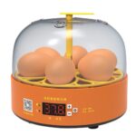6-Eggs Liten Husdyr Eksperimentell Barne Smart Kylling Inkubator, Spes: Manuell US Plugg