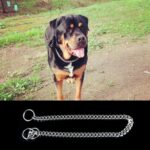 70 cm Pet P Kjede Dyrehalser Nakestropp Hundehalsbånd Slange Kjede Hundekjede Hundehalsbånd