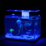 Akvariumartikler Dekorasjon Silikon Simulering Fluorescerende Sugekopp Manet, Størrelse: 8*20cm (Blå)