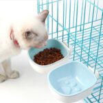 Anti-kvelningsfôringsvannskål for hund og katt, hengende, kreativ plastkjæledyrskål, Stil: Fotavtrykk (Blå)