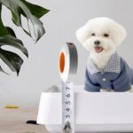 Åpen type hundetoalett, kjæledyrforsyninger, størrelse: 57,2x45,5 cm