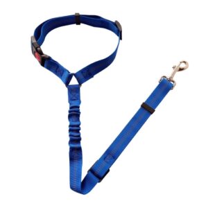 Bilbelte for hund med elastisk polstret tau, Bredde: 2,5 cm (Blå)