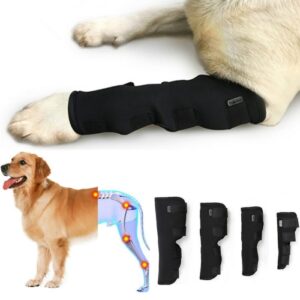 DogLemi PD60041 Hund Hock Støttebandasje for Bakbein, Kompresjonsbehandlingsinnpakning for Leddsammenbinding, Beskytter Sår og Skader, Størrelse: S