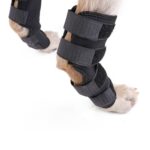 DogLemi PD60041 Hund Hock Støttebandasje for Bakbein, Kompresjonsbehandlingsinnpakning for Leddsammenbinding, Beskytter Sår og Skader, Størrelse: S