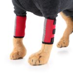 Dyre Knebeskytter for Hund Kirurgi Skade Beskyttelsesdeksel, Størrelse: M (Rød Refleksjon)