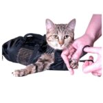 Dyrebadevott for katt - Pelspleieveske - Dyrrengjøringsutstyr