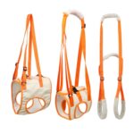 Dyreband Assistive Belte for Postoperative Funksjonshemmede Eldre Hunder Bakbein M
