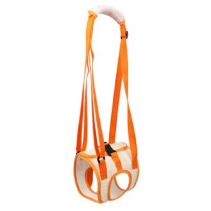 Dyreband Assistive Belte for Postoperative Funksjonshemmede Eldre Hunder Bakbein M