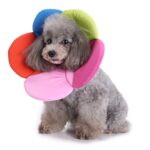 Dyrebeskyttelseshalsbånd Hund Blomst Beskyttelseshalsbånd, Spesifikasjon: L (Regnbue)