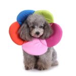 Dyrebeskyttelseshalsbånd Hund Blomst Beskyttelseshalsbånd, Spesifikasjon: L (Regnbue)