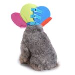 Dyrebeskyttelseshalsbånd Hund Blomst Beskyttelseshalsbånd, Spesifikasjon: L (Regnbue)