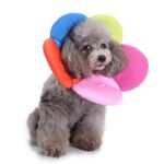 Dyrebeskyttelseshalsbånd Hund Blomst Beskyttelseshalsbånd, Spesifikasjon: L (Regnbue)