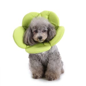 Dyrebeskyttelseskrage Hund Blomsterbeskyttelseskra, Spesifikasjon: M (Grønn)