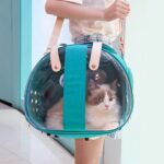 Easy Pet Utflukt Gjennomsiktig Ryggsekk Sammenleggbar Pustende Katt Bag, Spesifikasjon: 39X27X30cm (Himmelblå)