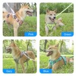 FunAdd Traction Tau Reflekterende Pustende Nylon Kjæledyr Vest Hundesele, Størrelse: M (Rosa)