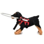Hund Blindsone Anti-Kollisjonsring Dyrebeskyttelsesring Dekkring, Spesifikasjon: M (Rød)