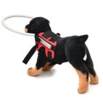 Hund Blindsone Anti-Kollisjonsring Dyrebeskyttelsesring Dekkring, Spesifikasjon: M (Rød)