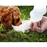 Hund og katt bærbar vannmater for kjæledyr, kjele for utendørsbruk (Rosa)