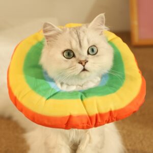 Katt Elizabeth Krage Kattunge Anti-lekking Krage Hodedeksel, Størrelse: L (Regnbue)