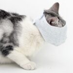 Kattansikt Maske for Kjæledyr, Anti-Biting, Anti-Licking, Pustende Ansiktsmaske, Spesifikasjon: M (Øyemaske)