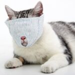 Kattansikt Maske for Kjæledyr, Anti-Biting, Anti-Licking, Pustende Ansiktsmaske, Spesifikasjon: M (Øyemaske)