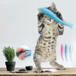 Kattmynta Katt Tannrens Silikon Dolfinglek (Blå)