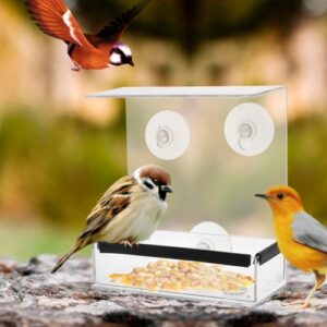 Kreativ Gjennomsiktig Plexiglass Firkantet Fuglemater