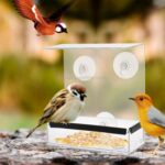 Kreativ Gjennomsiktig Plexiglass Firkantet Fuglemater