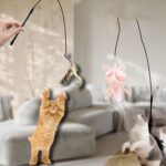 Lang Stang Sugekop Katt Teaser Stang Erstatningshode, Tilfeldig Fargelevering