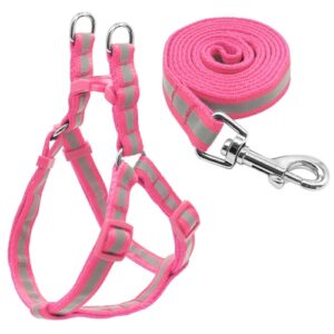 Liten Medium Hunder Nylon Reflekterende Hundebånd Sett, Størrelse:S (Rosa)