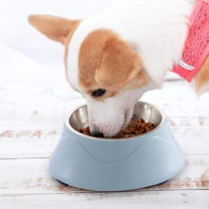Matbolle i rustfritt stål for hund og katt, dobbel bruk (blå)