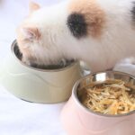 Matbolle i rustfritt stål for hund og katt, dobbel bruk (blå)