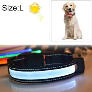 Medium og Stor Hund Pet Sol + USB Lading LED Lys Halsbånd, Nakkeomkrets Størrelse: L, 50-60cm (Hvit)