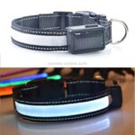 Medium og Stor Hund Pet Sol + USB Lading LED Lys Halsbånd, Nakkeomkrets Størrelse: L, 50-60cm (Hvit)