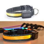 Medium og Stor Hund Pet Sol + USB Lading LED Lys Halsbånd, Nakkeomkrets Størrelse: S, 35-40cm (Gul)