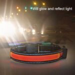 Medium og Stor Hund Pet Sol + USB Lading LED Lys Halsbånd, Nakkeomkrets Størrelse: S, 35-40cm (Gul)