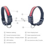 Medium og Stor Hund Pet Sol + USB Lading LED Lys Halsbånd, Nakkeomkrets Størrelse: S, 35-40cm (Gul)