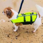 Pet Airbag Flytevest Oppblåsbar Sammenleggbar Hund Utendørs Bærbar Sikkerhetsdrakt, Størrelse: S