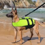 Pet Airbag Flytevest Oppblåsbar Sammenleggbar Hund Utendørs Bærbar Sikkerhetsdrakt, Størrelse: S