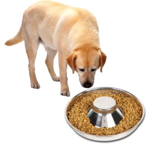Pet Dog Food Bowl, hundematbolle i rustfritt stål, langsom matbolle, kjæledyrutstyr, størrelse: 30 cm