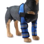 Pet Dog Leg Knee Guard Kirurgisk Skadebeskyttelsesdeksel, Størrelse: L (Støttestripsmodell (Blå))