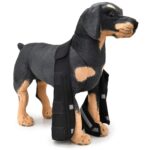 Pet Dog Leg Knee Guard Kirurgisk Skadebeskyttelsesdeksel, Størrelse: L (Støttestripsmodell (Blå))