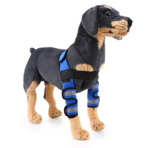 Pet Dog Leg Knee Guard Kirurgisk Skadebeskyttelsesdeksel, Størrelse: L (Støttestripsmodell (Blå))