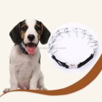 Pet Dogs Høy Kvalitet Metall Krage Justerbar Kjede Spesifikk Trening Hunders Kjede Krage, Størrelse: 4.0mm*60cm