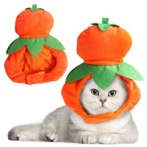 Pet Hat Hund Katt Kostyme Hodeplagg Gourd Hatt Hodeutstyr