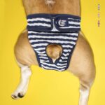 Pet Stripete Fysiologiske Bukser Hund Menstruasjonsbukser, Størrelse: M (Rød)