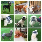 Pet Stripete Fysiologiske Bukser Hund Menstruasjonsbukser, Størrelse: M (Rød)