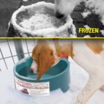 Pet Varmebolle for Katt og Hund Matbrett Automatisk Konstant Temperatur og Varmebevaring Vannbolle, Plugtype: US Plugg 110-130V