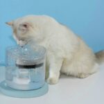 Pets Automatisk Sirkulerende Stille Vannbeholder Som Ikke Lekker Elektrisitet, Spesifikasjon: UK Stikkontakt, Stil: Transparent Farge